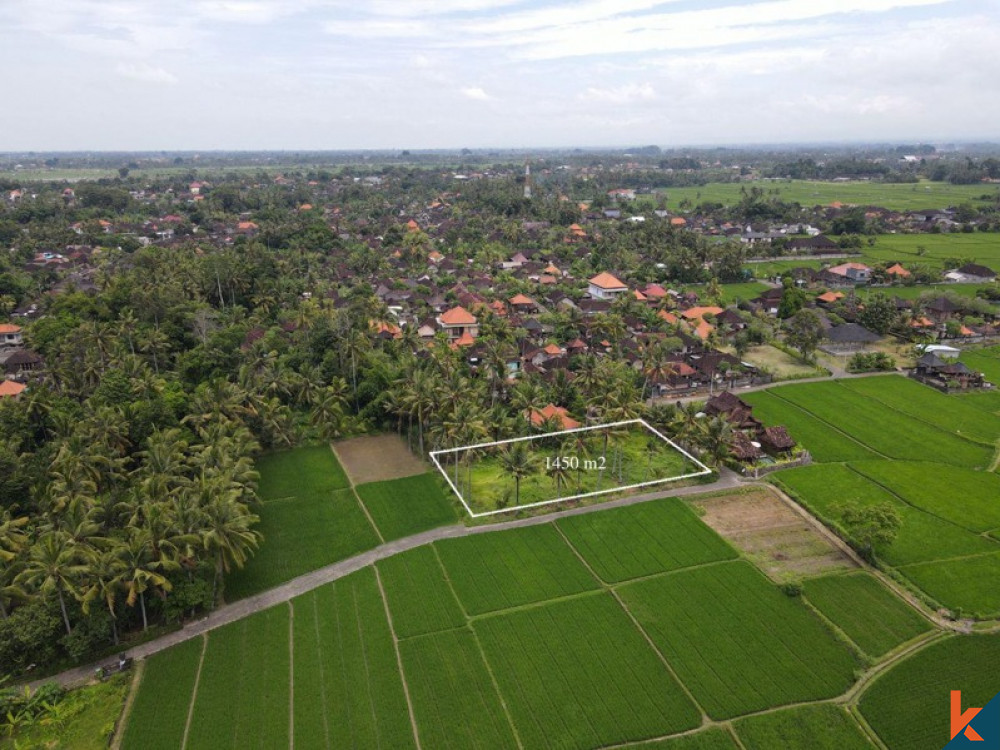 Tanah sewa yang indah dengan sawah, pemandangan gunung, IMB dan proyek untuk villa