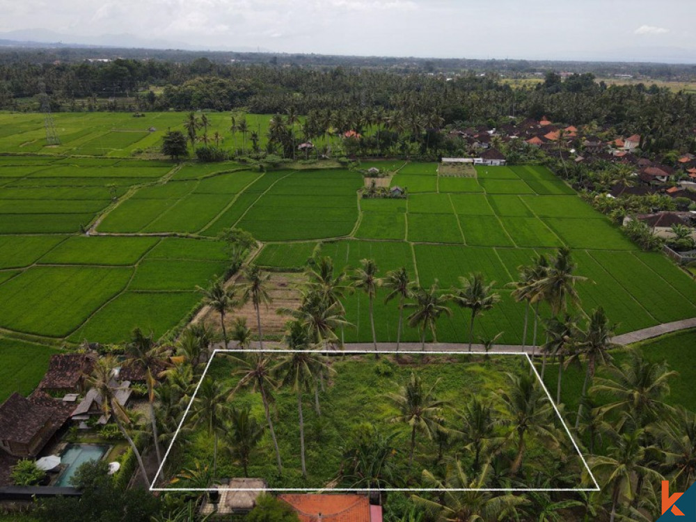 Tanah sewa yang indah dengan sawah, pemandangan gunung, IMB dan proyek untuk villa