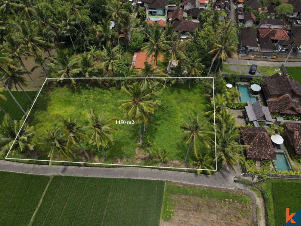 Tanah sewa yang indah dengan sawah, pemandangan gunung, IMB dan proyek untuk villa