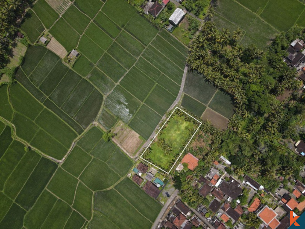 Tanah sewa yang indah dengan sawah, pemandangan gunung, IMB dan proyek untuk villa