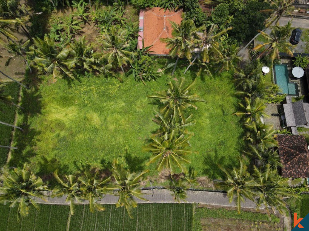 Tanah sewa yang indah dengan sawah, pemandangan gunung, IMB dan proyek untuk villa