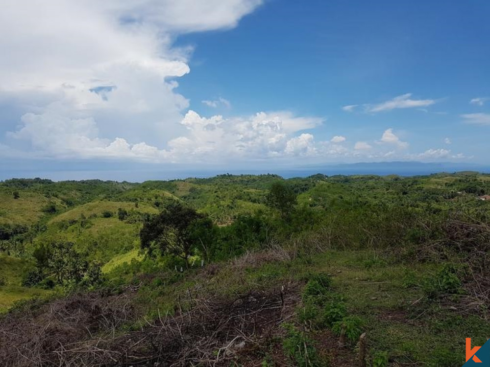 Terrain spectaculaire avec vue sur l'océan sur l'île de Nusa Penida à vendre