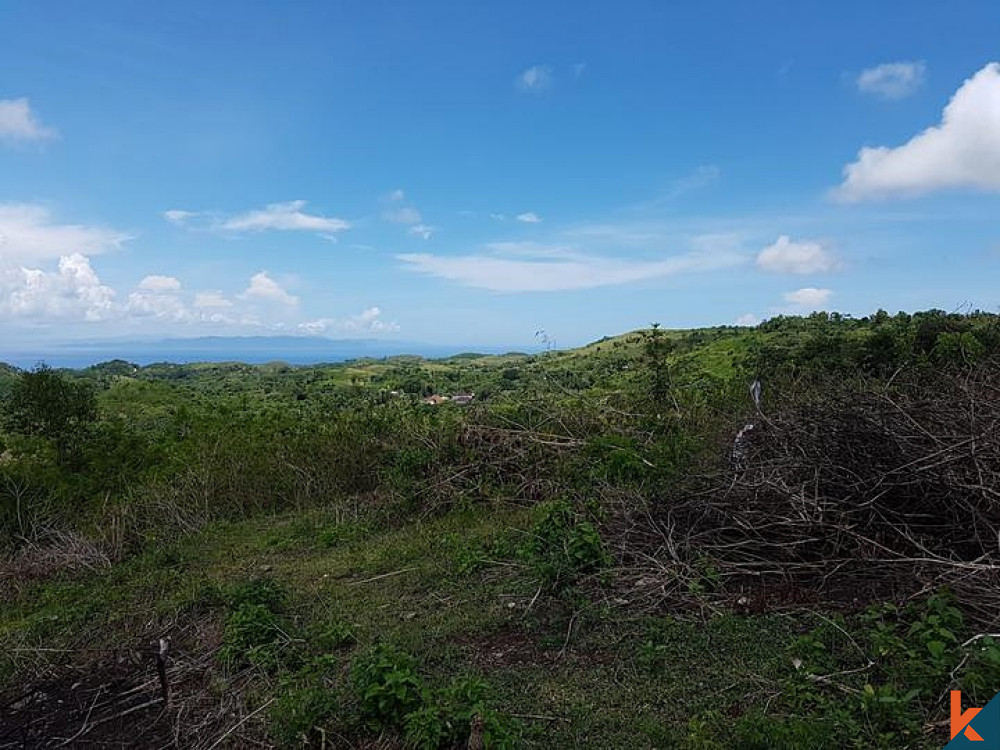 Terrain spectaculaire avec vue sur l'océan sur l'île de Nusa Penida à vendre