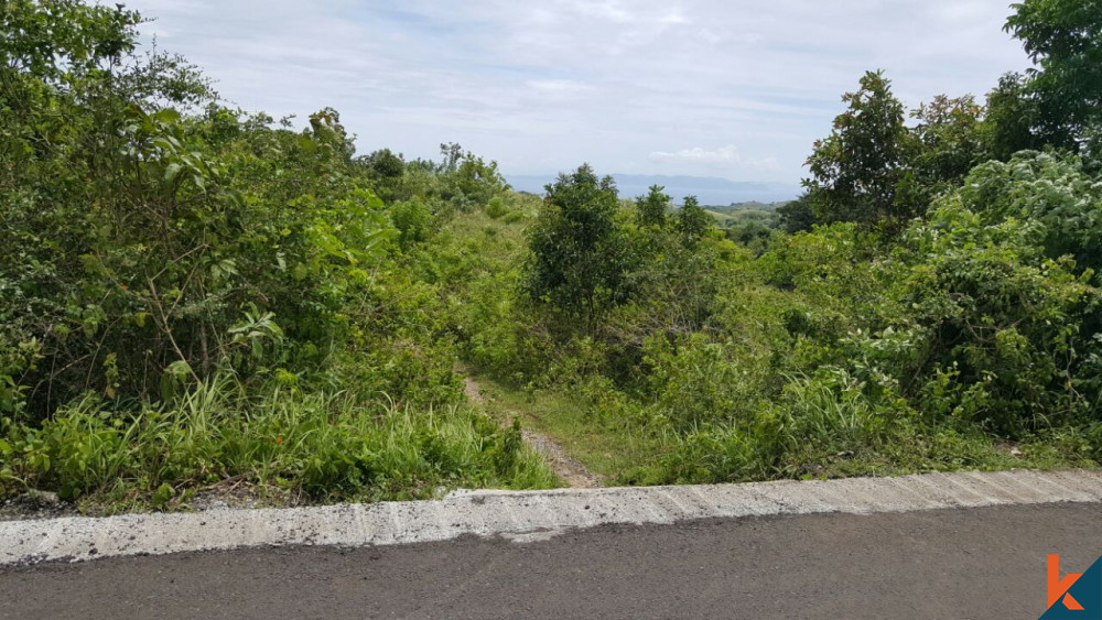 Spectacular Land with Ocean View in Nusa Penida Island for Sale