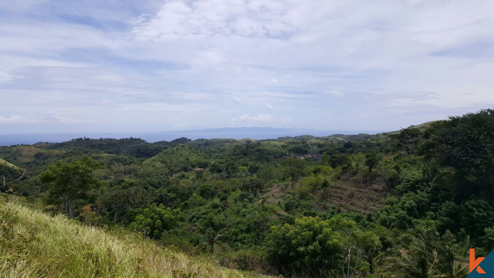 Terrain spectaculaire avec vue sur l'océan sur l'île de Nusa Penida à vendre