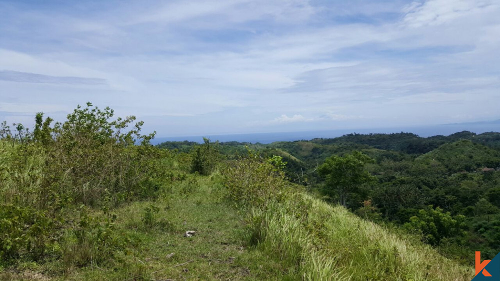 Terrain spectaculaire avec vue sur l'océan sur l'île de Nusa Penida à vendre