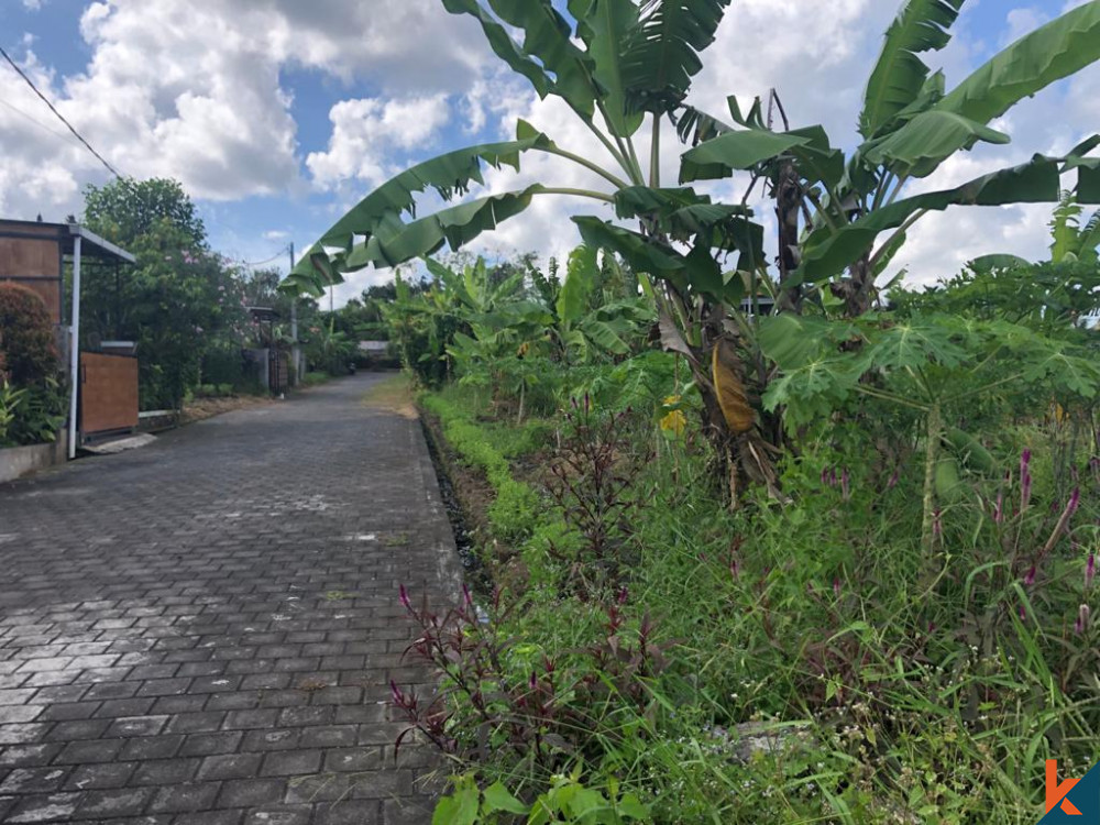 Great Deal Beautiful Small Plot in Tabanan for Sale