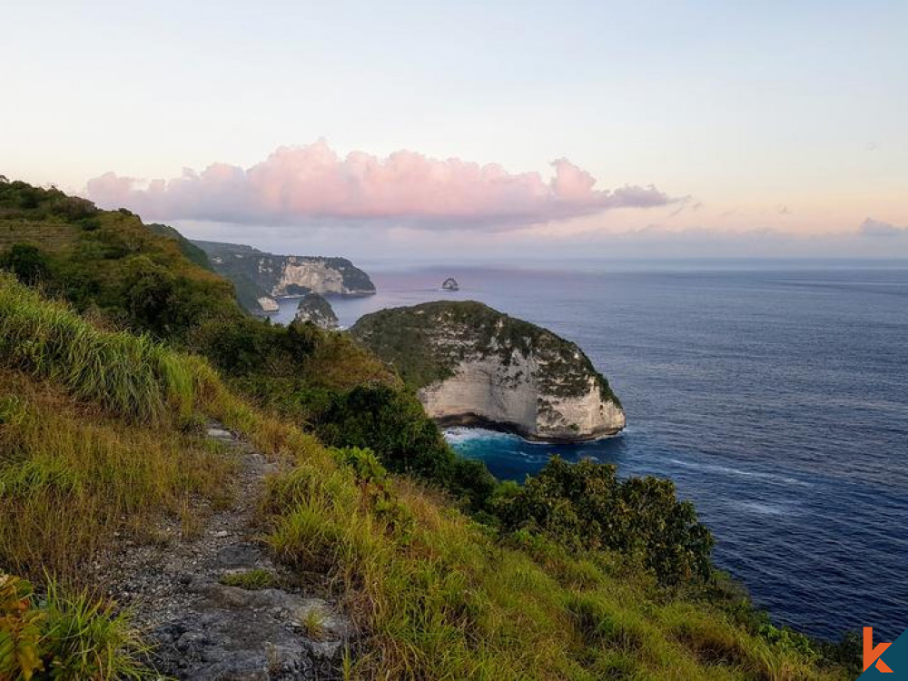 Ocean View Freehold Land in Nusa Penida for Sale