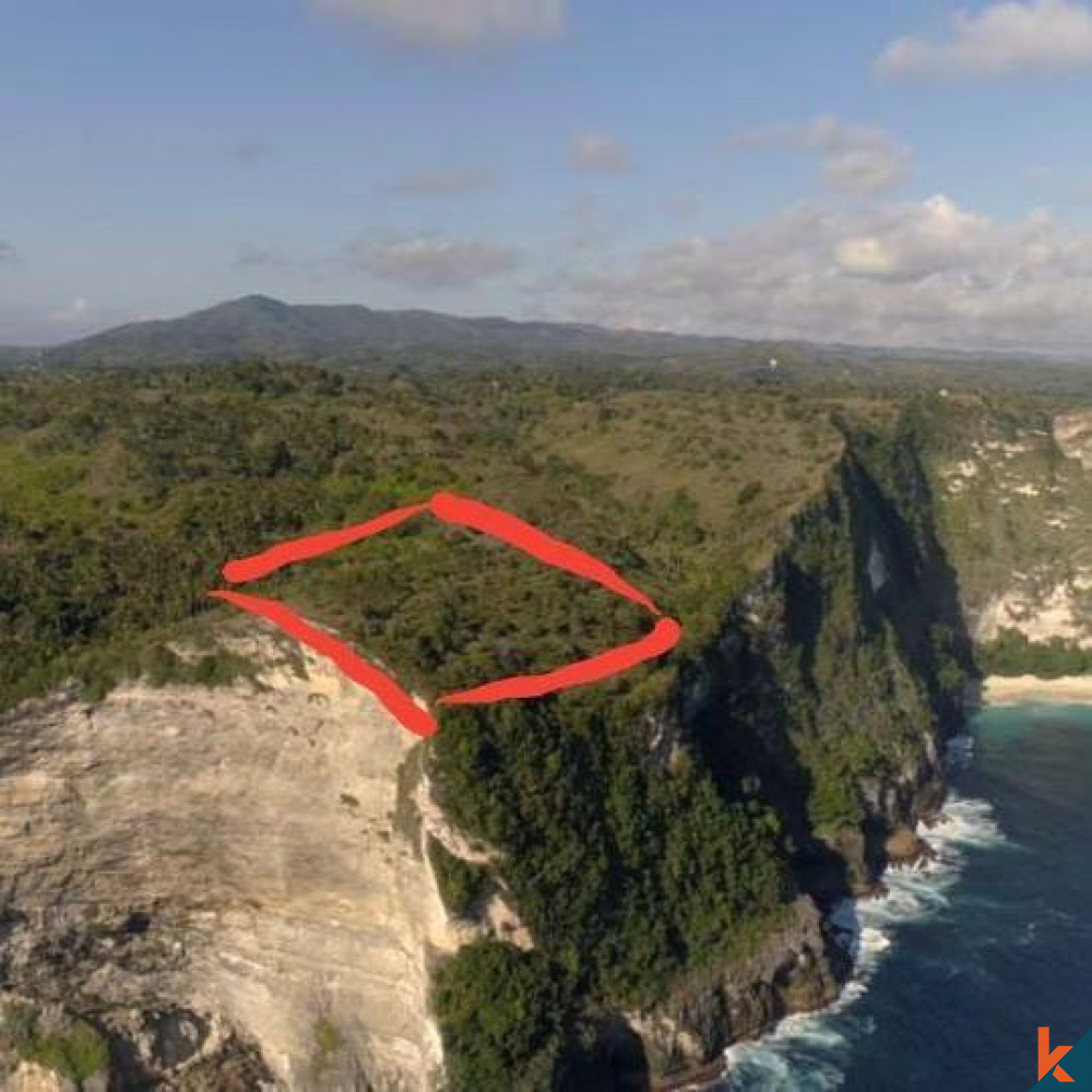 Terrain en pleine propriété avec vue sur l'océan à Nusa Penida à vendre