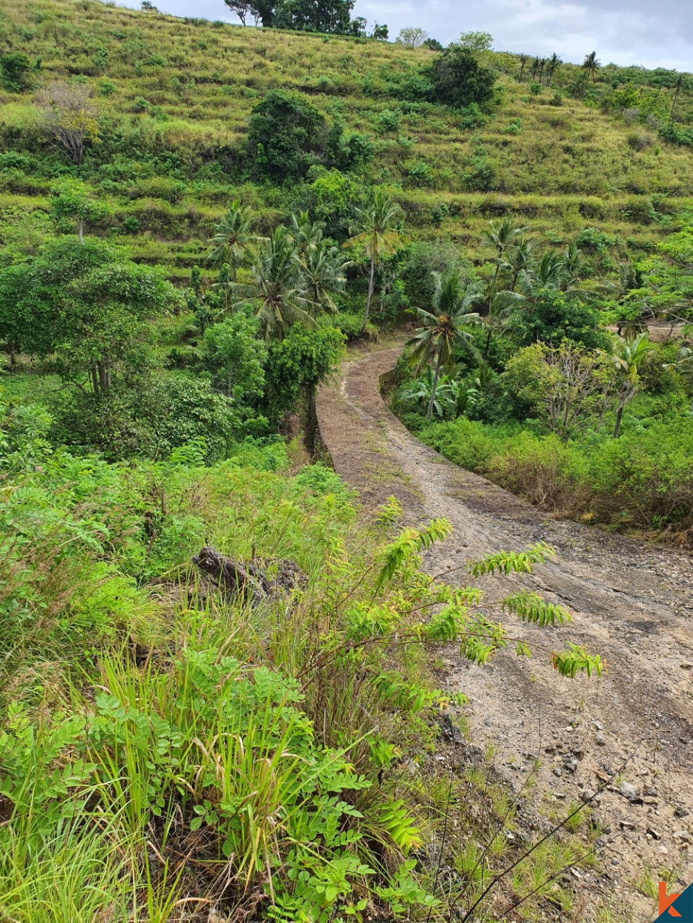 Terrain en pleine propriété massive à Nusa Penida à vendre