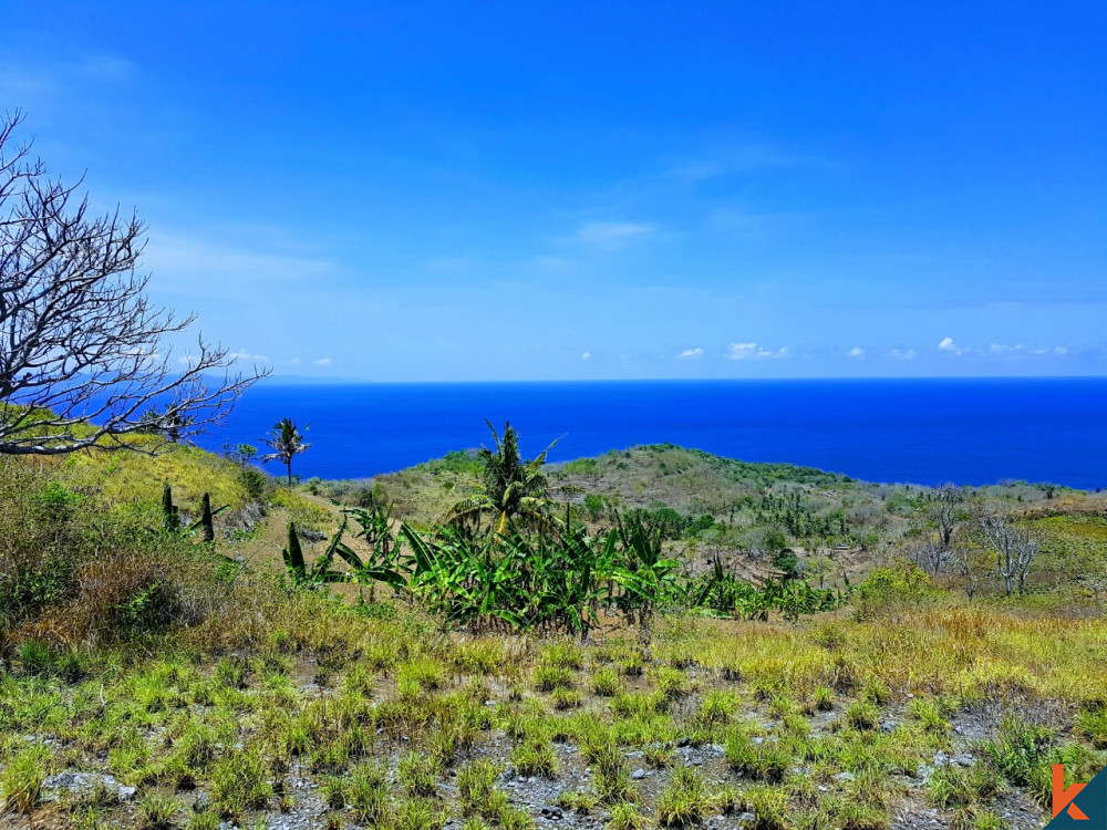 Terrain en pleine propriété massive à Nusa Penida à vendre