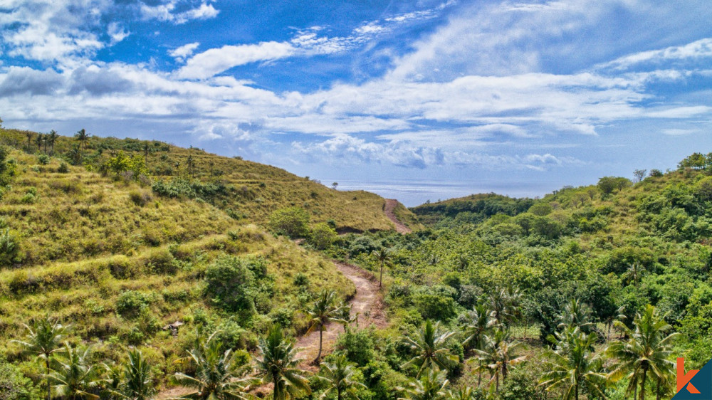 Terrain en pleine propriété massive à Nusa Penida à vendre