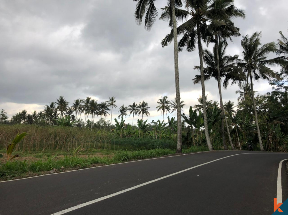 Beautiful 18 Are Land in Mengwi for Sale