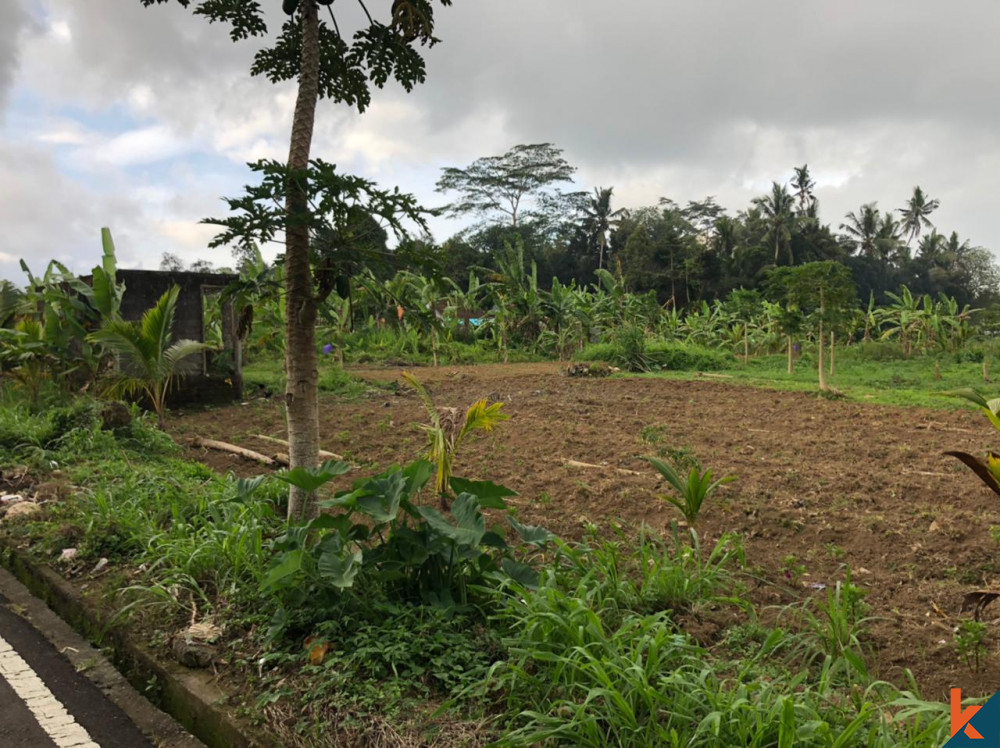 Sebidang Tanah Menakjubkan di Mengwi Dijual