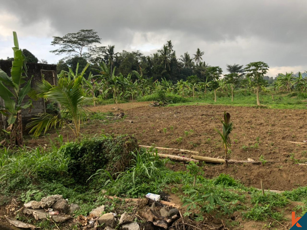Sebidang Tanah Menakjubkan di Mengwi Dijual