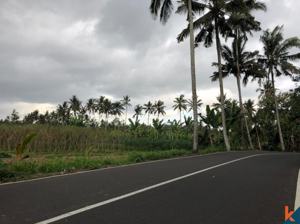 Sebidang Tanah Menakjubkan di Mengwi Dijual