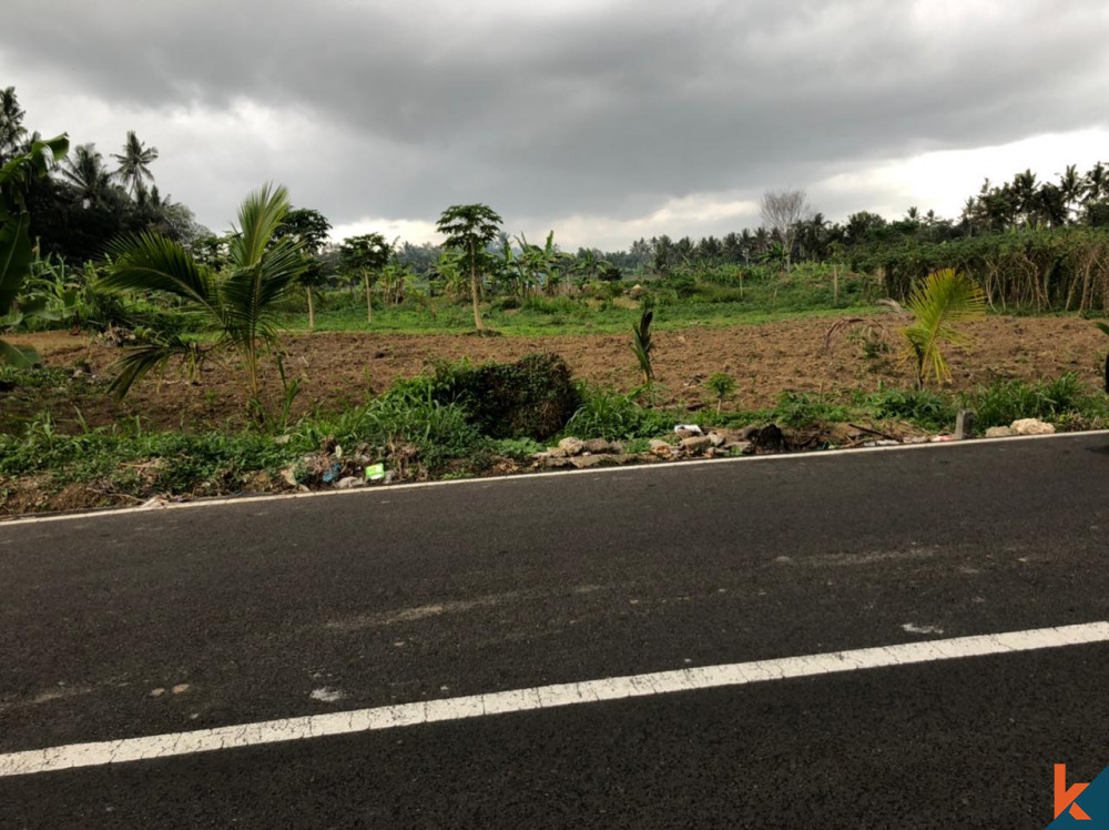 Amazing Plot of Land in Mengwi for Sale