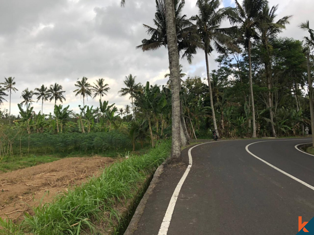 Sebidang Tanah Menakjubkan di Mengwi Dijual