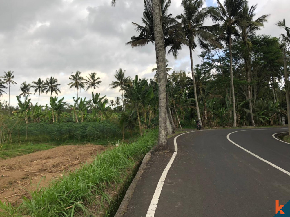 Stunning Freehold Land in Mengwi for Sale