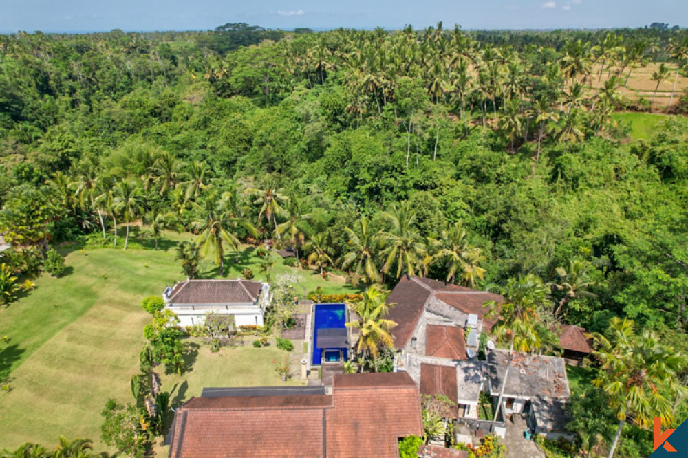 Stunning Five Bedrooms Villa with Spacious Land for Sale in Ubud