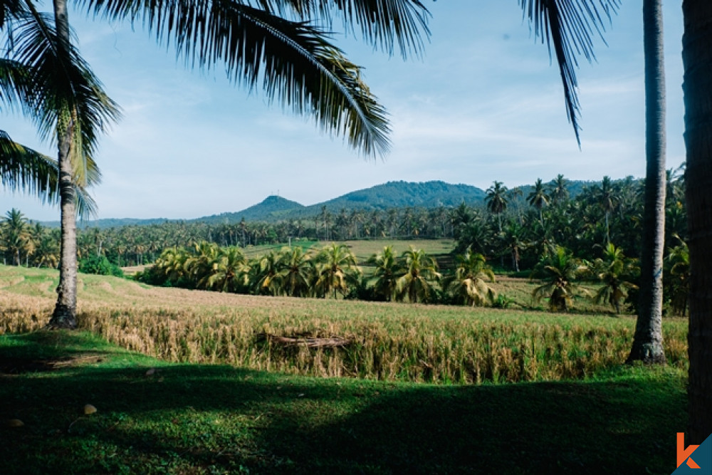 Amazing Tropical Beachfront Land in Balian for Sale