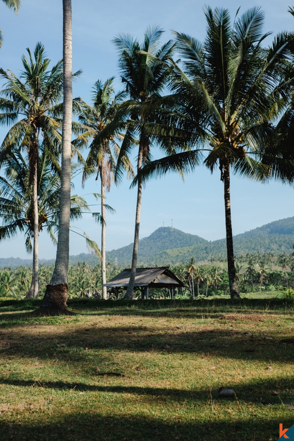 Amazing Tropical Beachfront Land in Balian for Sale