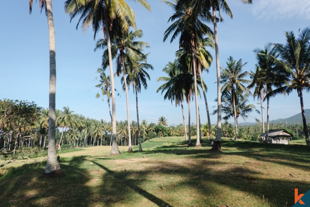 Amazing Tropical Beachfront Land in Balian for Sale