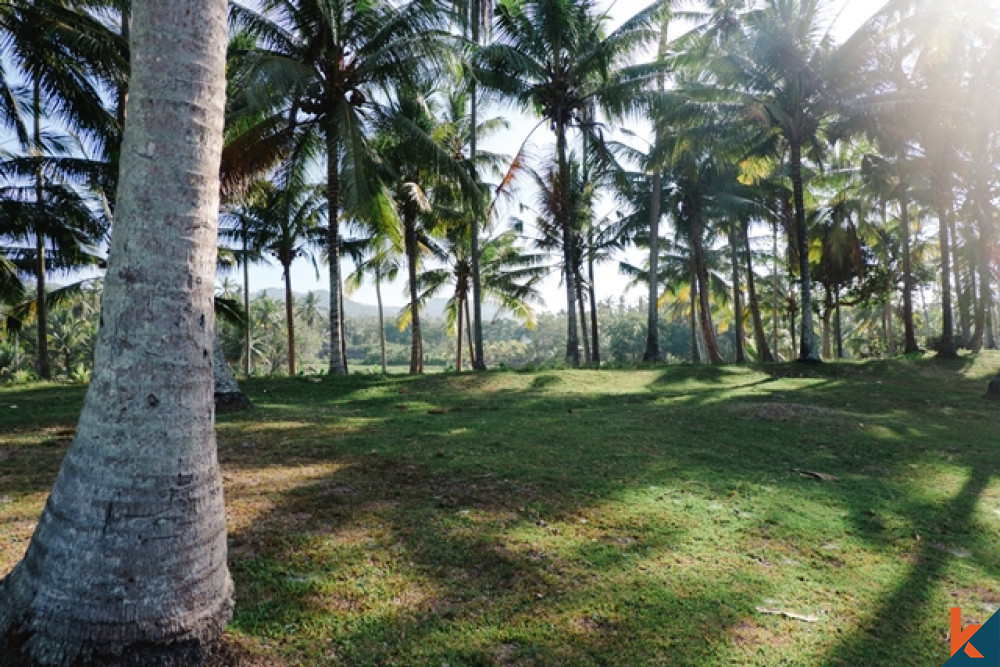 Incroyable terrain tropical en bord de mer à Balian à vendre
