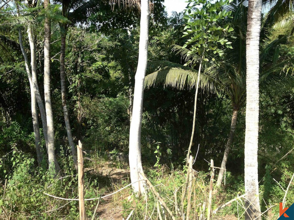 Dijual Tanah Tepi Sungai Peluang Langka Menghadap Lembah di Nyanyi