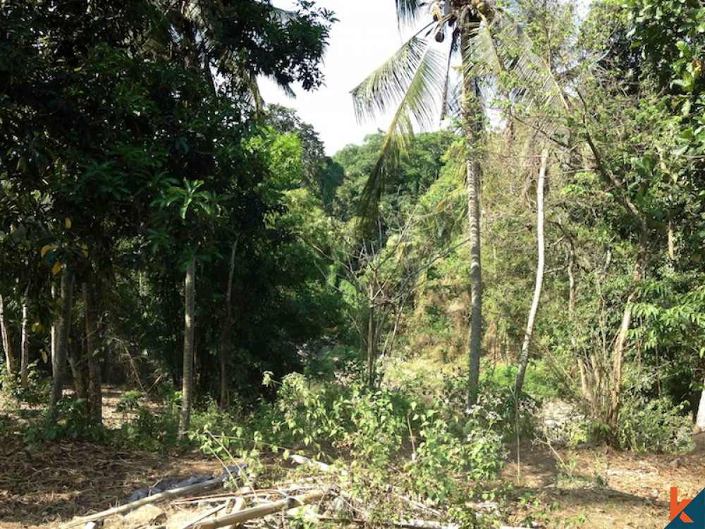 Dijual Tanah Tepi Sungai Peluang Langka Menghadap Lembah di Nyanyi