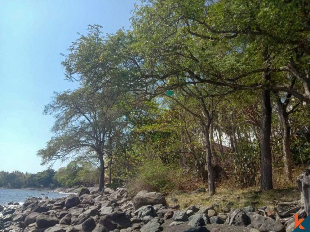 Beachfront Spacious Land for Sale in Singaraja