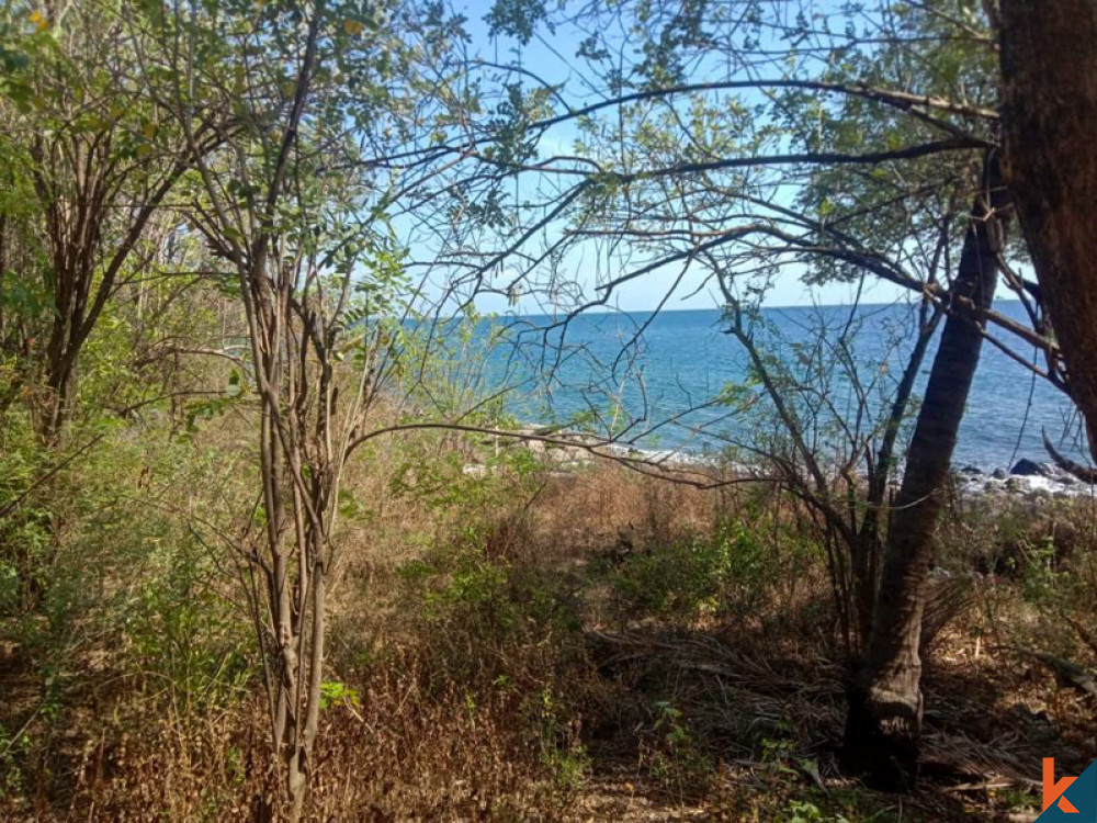 Beachfront Spacious Land for Sale in Singaraja