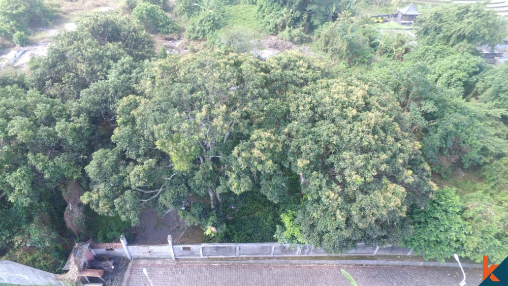 Amazing Plot Close to Tanah Lot for Sale