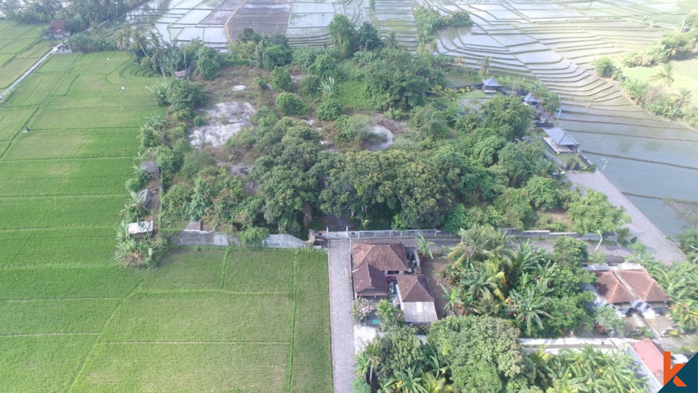 Amazing Plot Close to Tanah Lot for Sale
