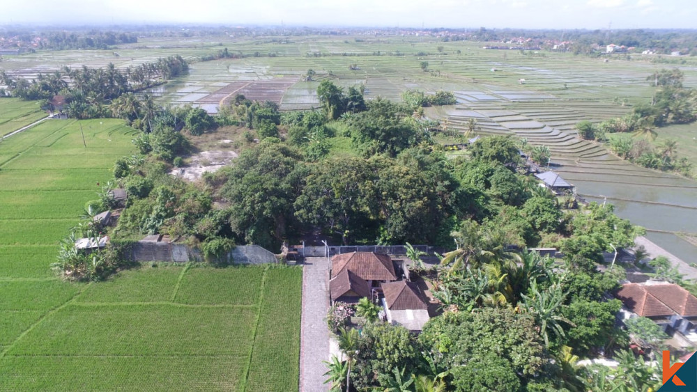 Amazing Plot Close to Tanah Lot for Sale