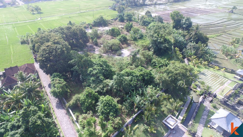 Amazing Plot Close to Tanah Lot for Sale