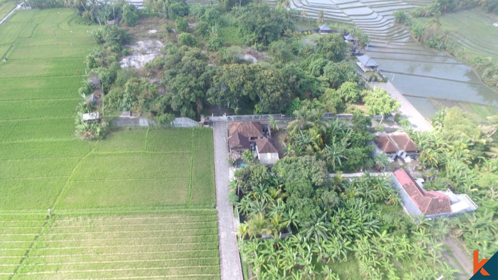 Kavling Menakjubkan Dekat Tanah Lot Dijual