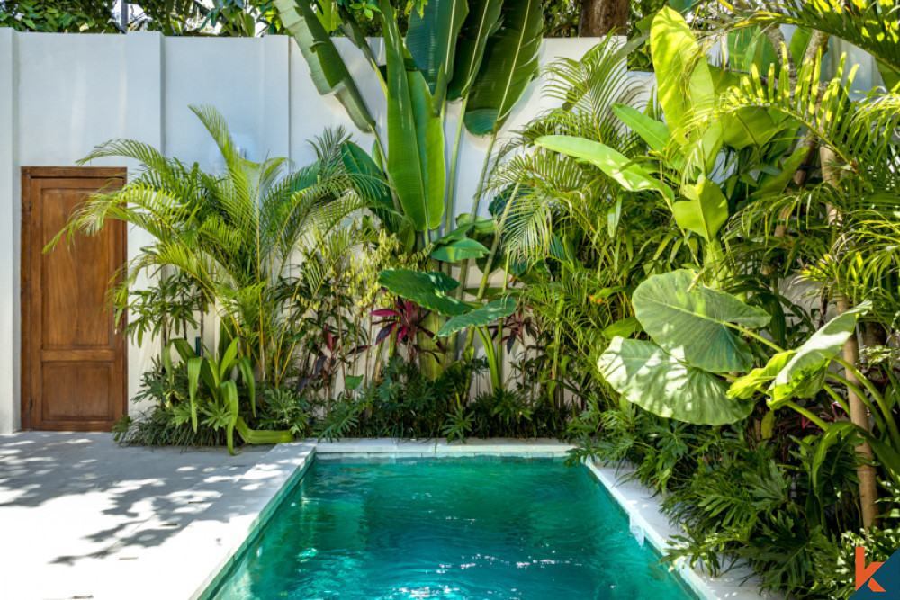 Idyllic One Bedroom Villa for Sale in Prime Location of Seminyak