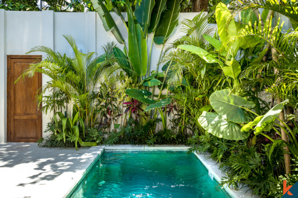 Villa idyllique d'une chambre à vendre dans un emplacement privilégié de Seminyak