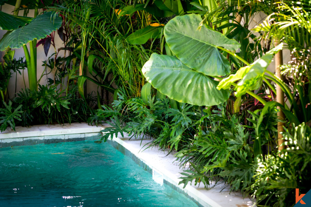 Villa idyllique d'une chambre à vendre dans un emplacement privilégié de Seminyak