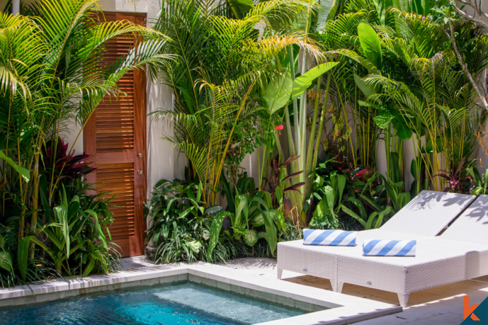 Chic One Bedroom Villa for Lease in Seminyak