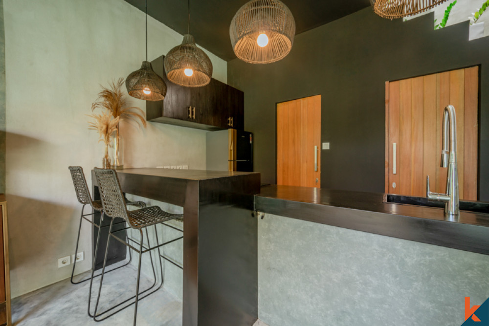 Minimalist Modern One Bedroom Villa for Sale in Canggu