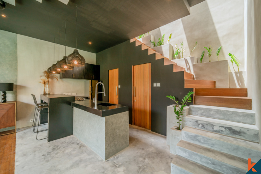 Minimalist Modern One Bedroom Villa for Sale in Canggu