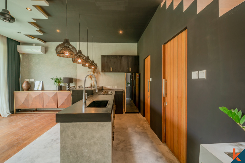 Minimalist Modern One Bedroom Villa for Sale in Canggu