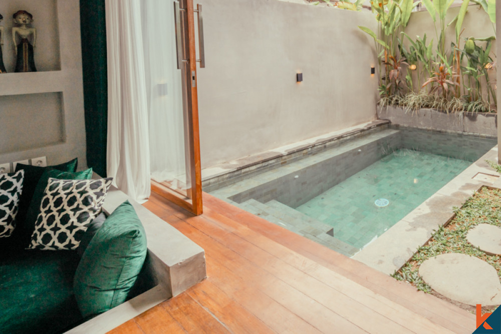 Minimalist Modern One Bedroom Villa for Sale in Canggu