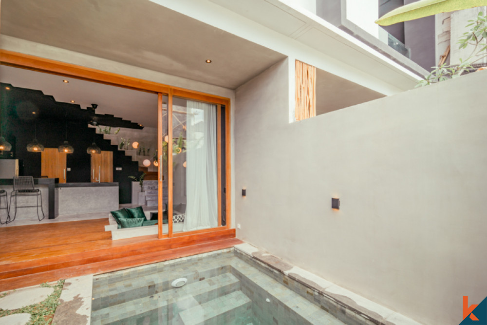 Minimalist Modern One Bedroom Villa for Sale in Canggu