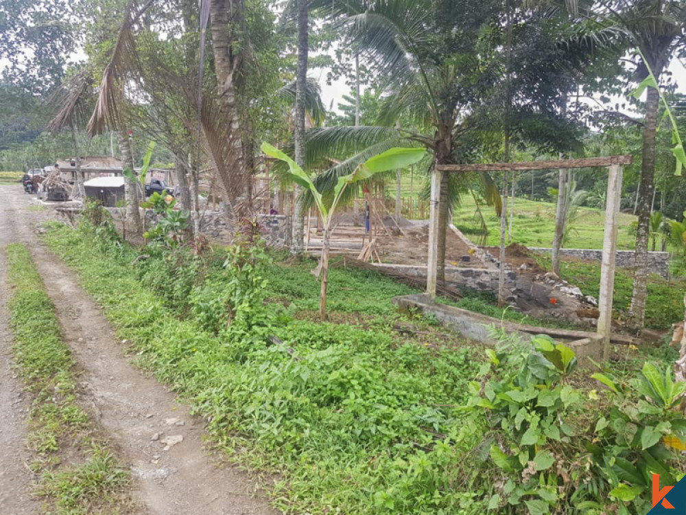 Tanah Bernilai Terbaik dengan pemandangan menakjubkan untuk Disewakan di Selemadeg