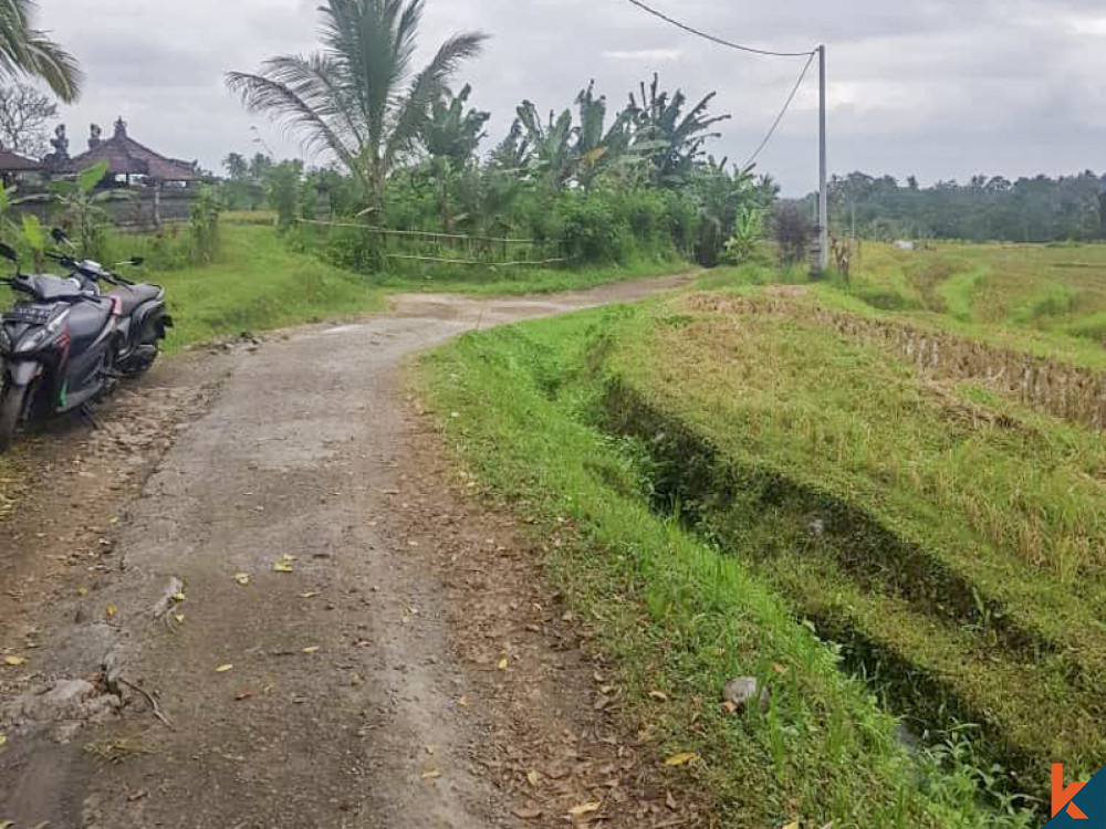 Tanah Bernilai Terbaik dengan pemandangan menakjubkan untuk Disewakan di Selemadeg