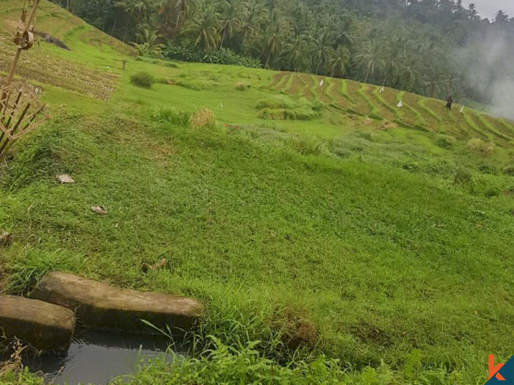 Tanah Bernilai Terbaik dengan pemandangan menakjubkan untuk Disewakan di Selemadeg