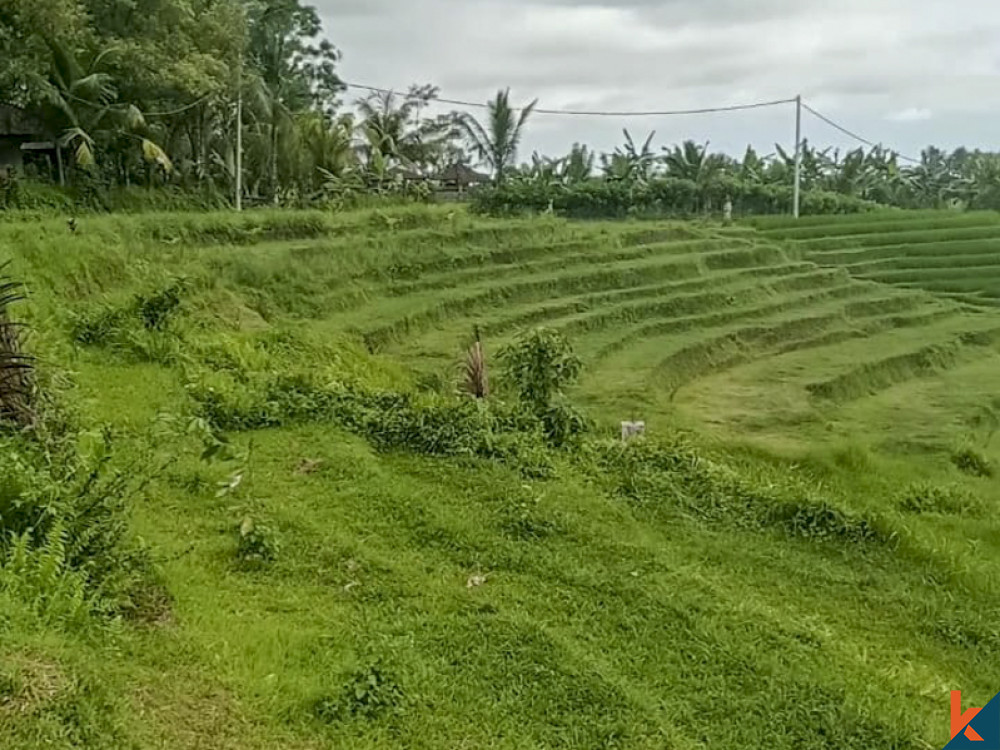 Tanah Bernilai Terbaik dengan pemandangan menakjubkan untuk Disewakan di Selemadeg